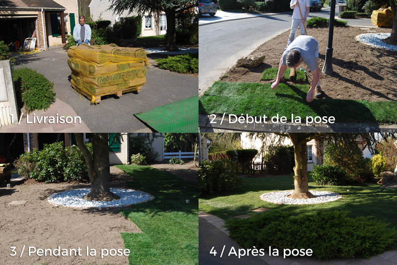pose et livraison des rouleaux de pelouse en région Aquitaine-Limousin-Poitou-Charentes